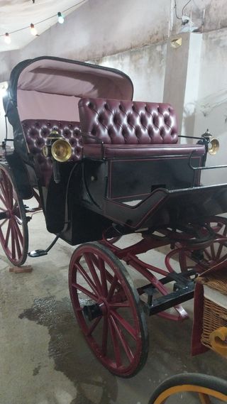 Carruajes :caballo grande y otro  Pony Wells