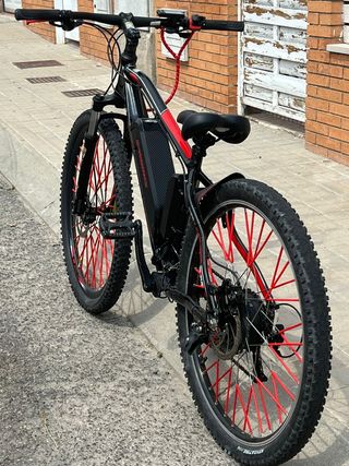 Bicicleta de montaña eléctrica