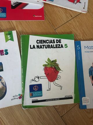 Lote libros 5 EP