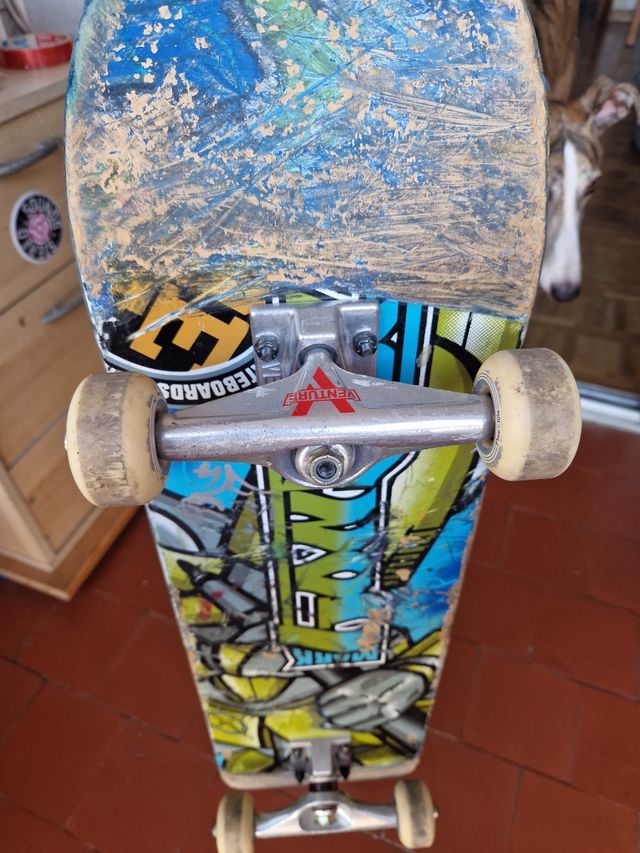 Skate Real 7.5" usado