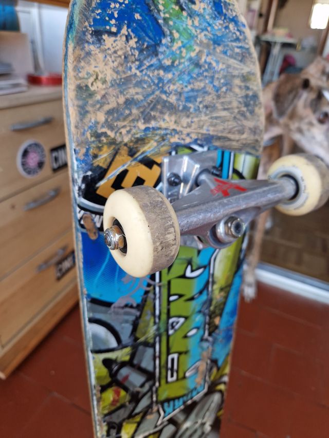Skate Real 7.5" usado