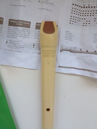 Flauta dulce Hohner soprano C con funda y guía