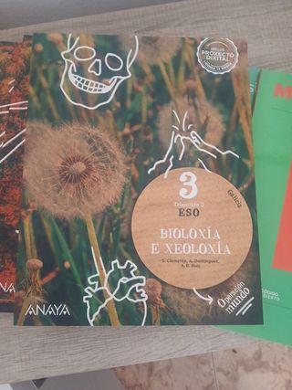 Física, química, musica,biología E xeologia ,lingu