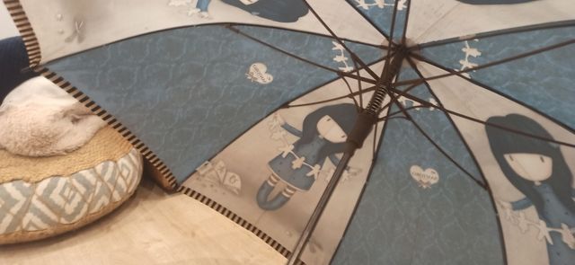 Paraguas infantil Miss Mindy