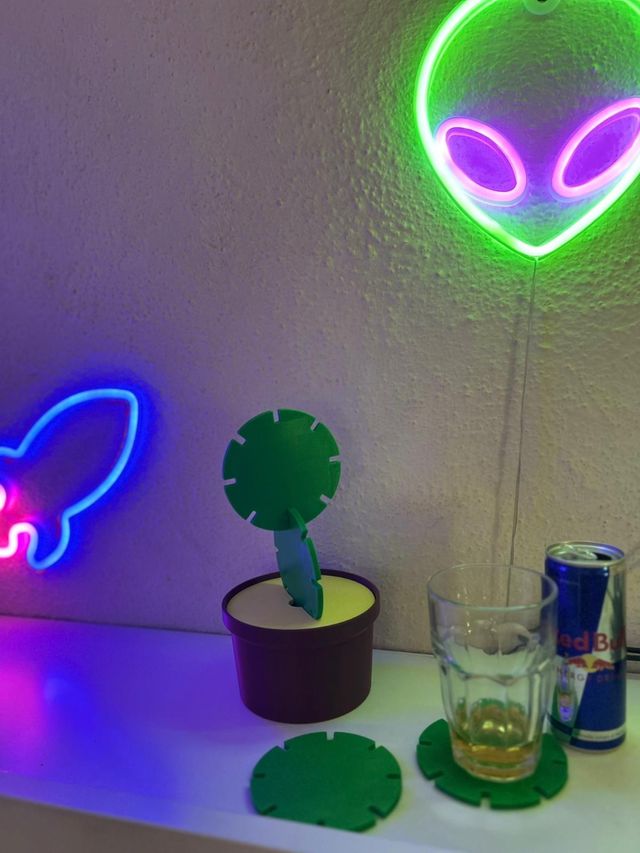 Set sottobicchieri cactus 3D