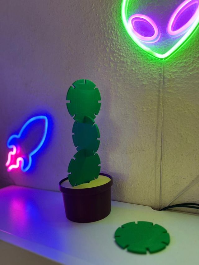 Set sottobicchieri cactus 3D