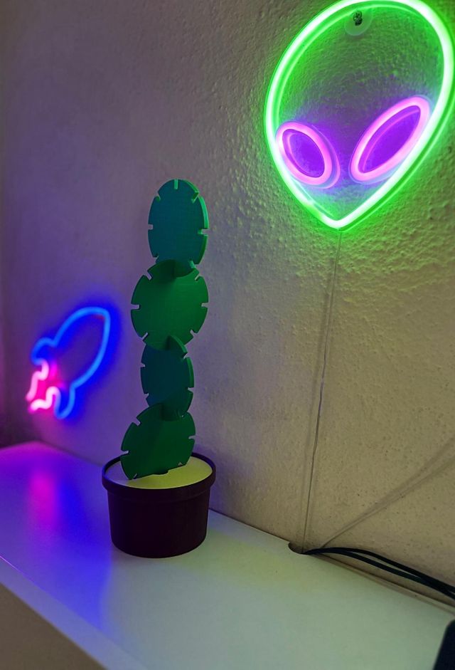 Set sottobicchieri cactus 3D