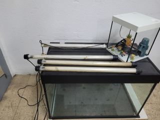 2 Acuarios + Accesorios