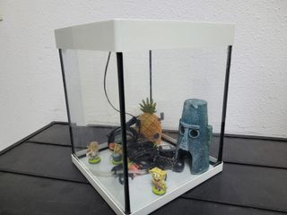 2 Acuarios + Accesorios