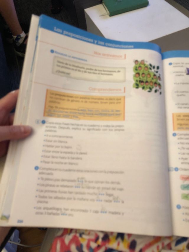 Lengua. 4 Primaria. Mas Savia