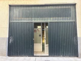 Puerta garaje hierro - Abatible