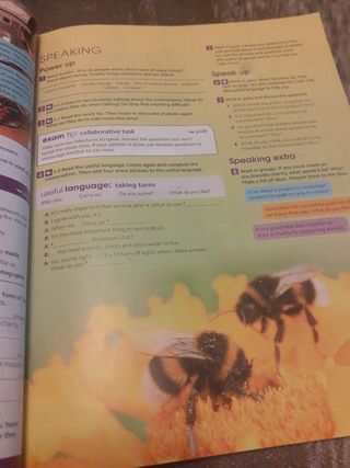 Gold Experience 2ed B1 Student's Book & Interac...