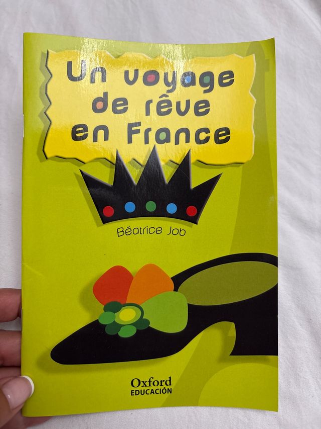 Un voyage de rêve en France (Lectures Faciles)