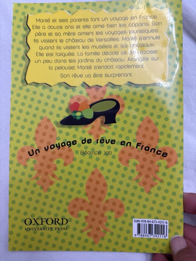 Un voyage de rêve en France (Lectures Faciles)