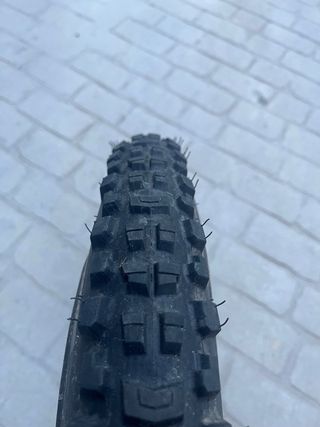 Neumático bici Specialized Cannibal T9