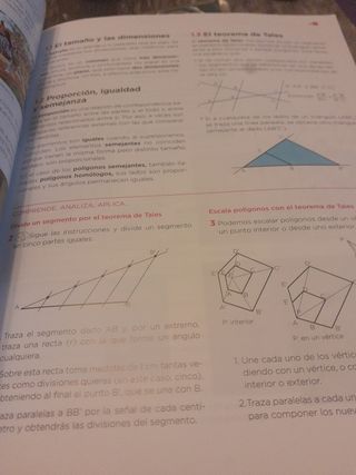 Educación Plástica, Visual y Audiovisual. Nivel...