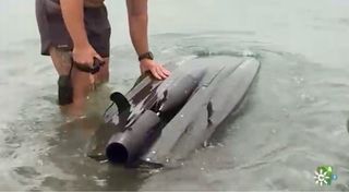 Tabla surf eléctrica RAVIK S