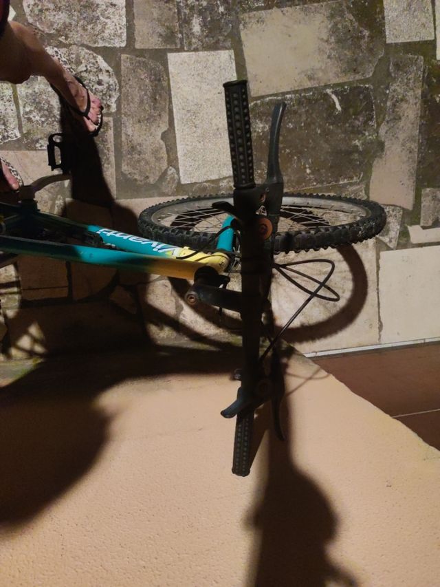 Bicicleta montaña vintage