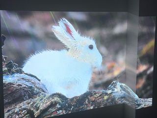 Proyector Optoma - Excelente estado