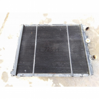 Radiador agua Renault Clio I (1990-1998) 1