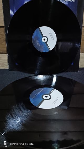 Vinile Remus Für Die Massen