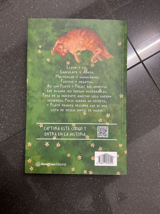 Un beso bajo la lluvia