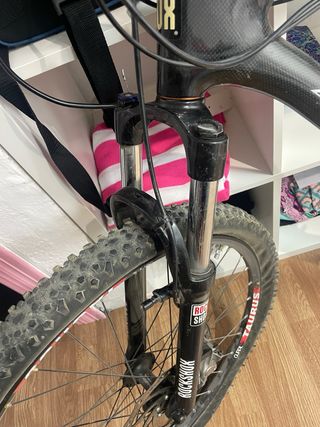 Bicicleta montaña carbono