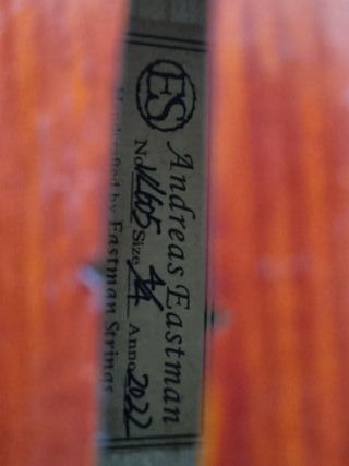 Violín Eastman 4/4 + Estuche