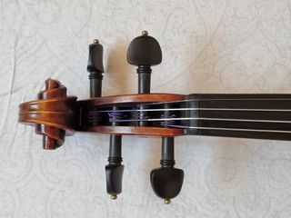 Violín Eastman 4/4 + Estuche