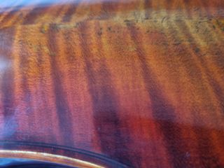 Violín Eastman 4/4 + Estuche