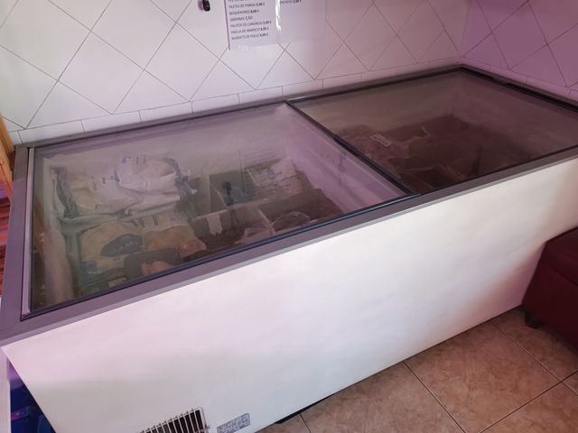 Congelador expositor 2 puertas