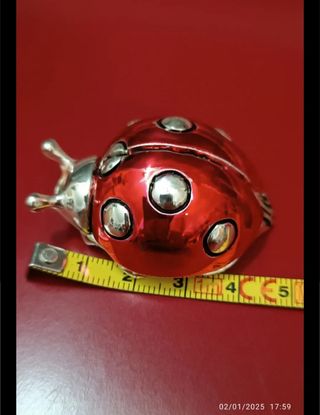 Coccinella Zeus - Decorazione