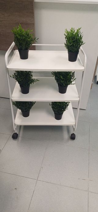 Planta artificial - Decoración