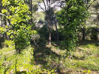 Solar en venta en Roca Grossa - Serra Brava en Lloret de Mar