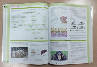 Biología y geología. 1 Bachillerato. Savia (Spa...