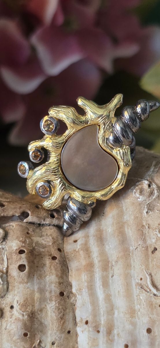 Anillo colección caracola joya de autor 