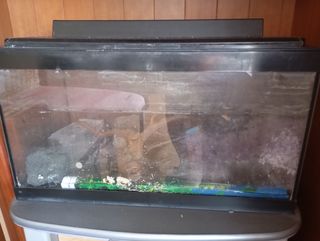 Pecera 56Lts con mueble gris