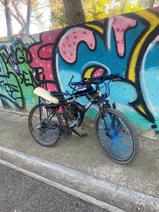 Bicicleta motorizada