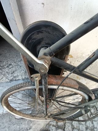 Bicicletta Antica Old Line