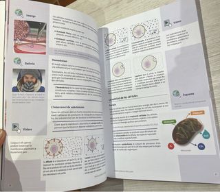 Biologia i geologia 4 ESO (Catalan Edition)