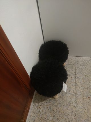 Banqueta negra peluda - 1 ud.