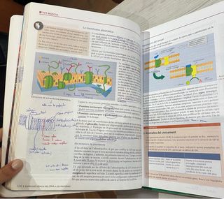 Nou Biocontext 1. Biologia - edició 2016