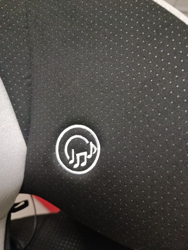 Silla coche RECARO Monza Nova