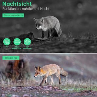 Cámara Caza Solar NUEVA