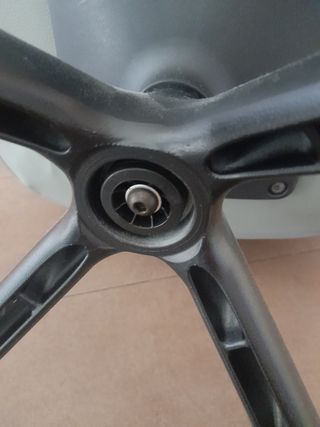 Sedie True Design Grigie