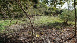 Terreno en venta en Moià