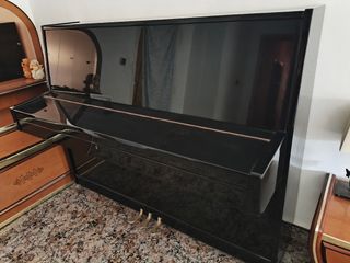 Piano Youngs - Negro Brillante