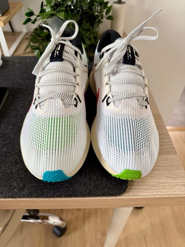 Zapatillas Nike Pegasus 40 *Talla 42