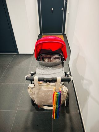 Bugaboo Fox - Carro bebé rojo