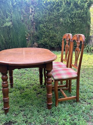 Muebles rústicos salón- comedor tallados a mano